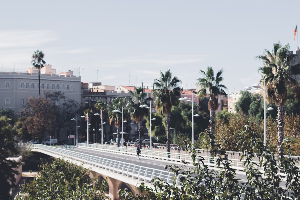 Valencia Spain cityscape with palm trees and bridge under blue sky